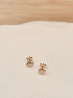 Boucles d'Oreilles Puces Coquillage Colette Plaqué Or