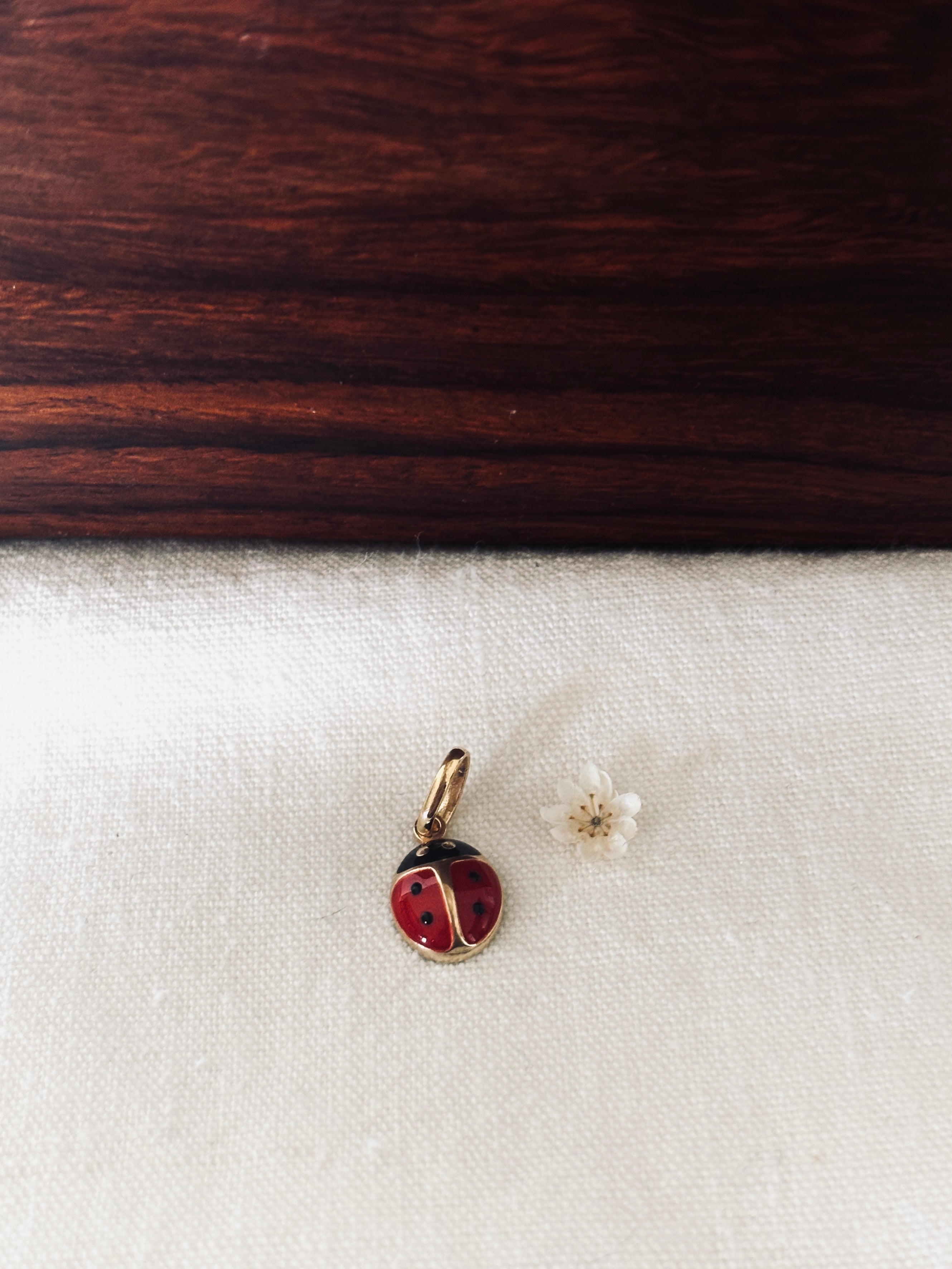 Pendentif Coccinelle Adèle Plaqué Or