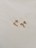 Boucles d'Oreilles Puces Dauphin Martin Plaqué Or